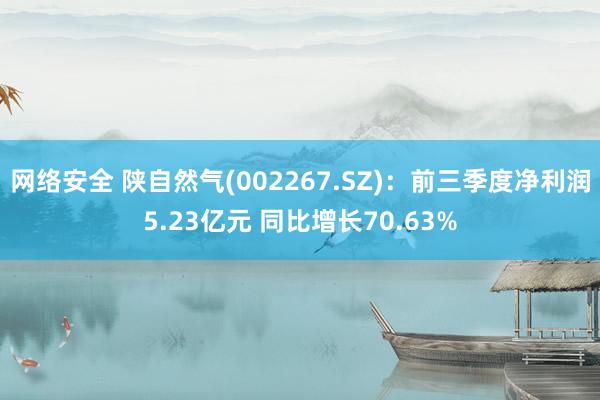 网络安全 陕自然气(002267.SZ)：前三季度净利润5.23亿元 同比增长70.63%