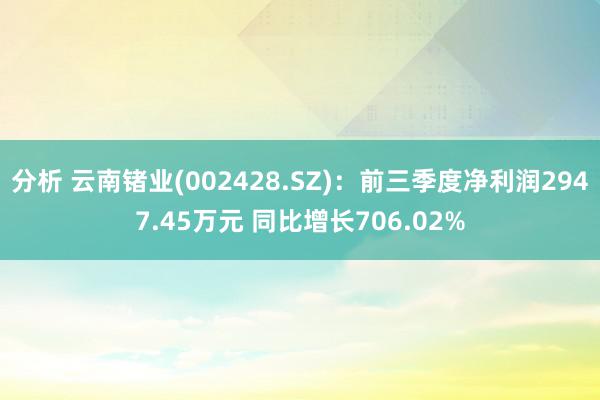 分析 云南锗业(002428.SZ)：前三季度净利润2947.45万元 同比增长706.02%