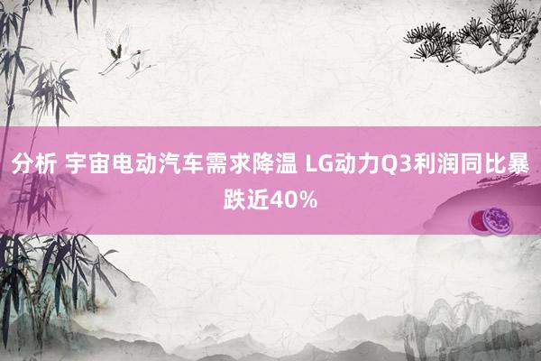 分析 宇宙电动汽车需求降温 LG动力Q3利润同比暴跌近40%