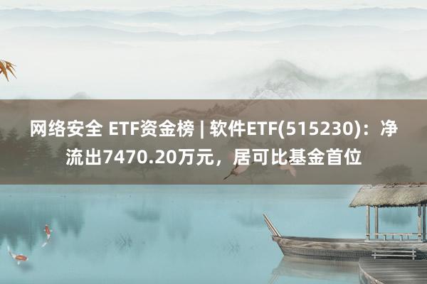 网络安全 ETF资金榜 | 软件ETF(515230)：净流出7470.20万元，居可比基金首位