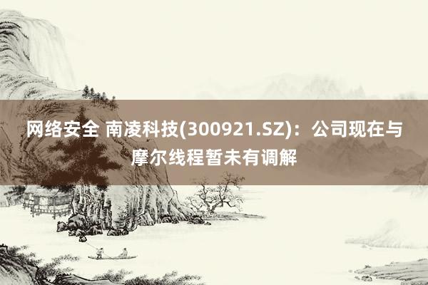 网络安全 南凌科技(300921.SZ)：公司现在与摩尔线程暂未有调解