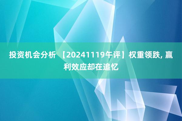 投资机会分析 【20241119午评】权重领跌, 赢利效应却在追忆