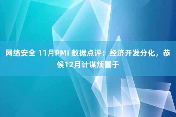 网络安全 11月PMI 数据点评：经济开发分化，恭候12月计谋烦嚣于