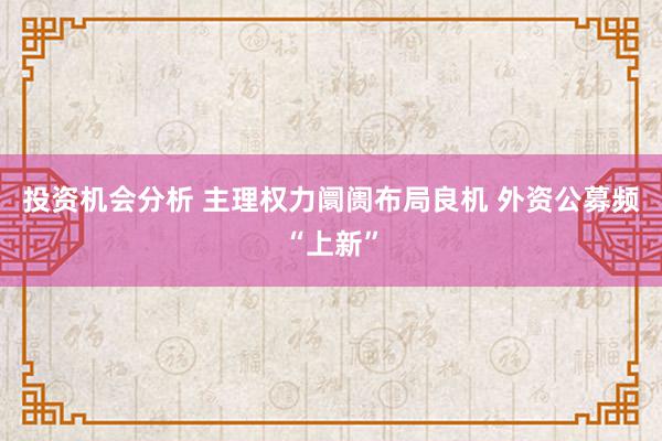 投资机会分析 主理权力阛阓布局良机 外资公募频“上新”