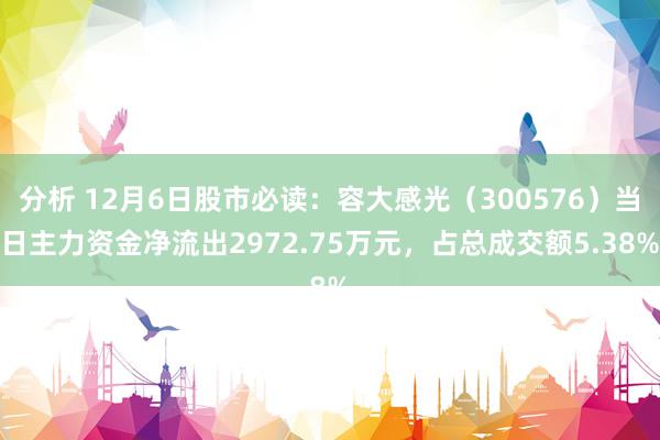 分析 12月6日股市必读：容大感光（300576）当日主力资金净流出2972.75万元，占总成交额5.38%