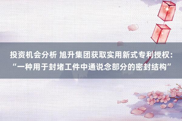 投资机会分析 旭升集团获取实用新式专利授权：“一种用于封堵工件中通说念部分的密封结构”