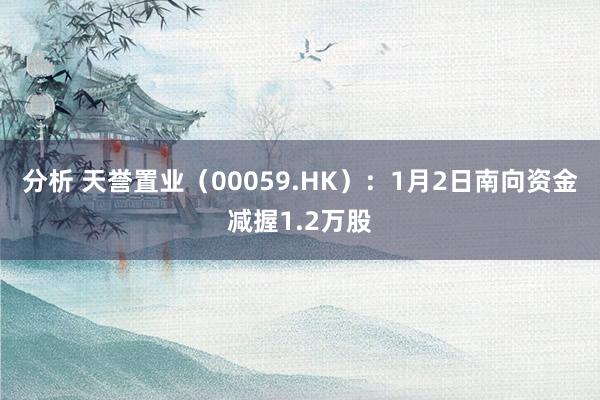 分析 天誉置业（00059.HK）：1月2日南向资金减握1.2万股