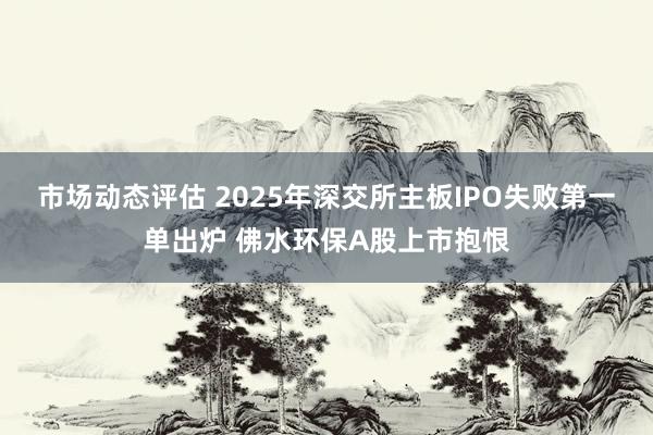 市场动态评估 2025年深交所主板IPO失败第一单出炉 佛水环保A股上市抱恨