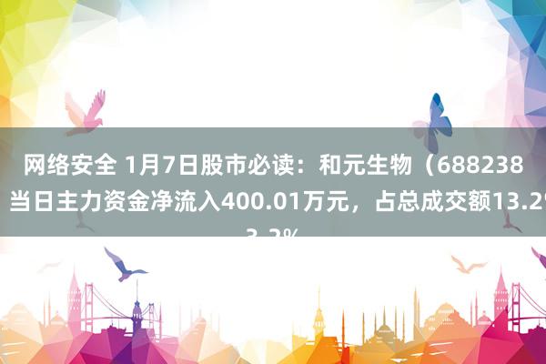 网络安全 1月7日股市必读：和元生物（688238）当日主力资金净流入400.01万元，占总成交额13.2%