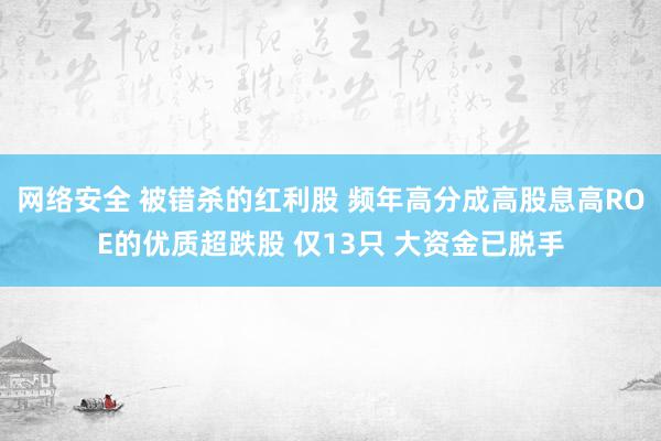 网络安全 被错杀的红利股 频年高分成高股息高ROE的优质超跌股 仅13只 大资金已脱手