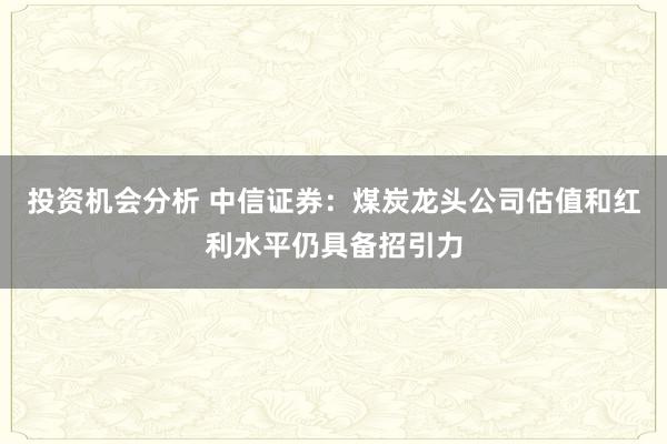 投资机会分析 中信证券：煤炭龙头公司估值和红利水平仍具备招引力