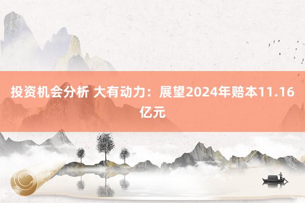 投资机会分析 大有动力：展望2024年赔本11.16亿元