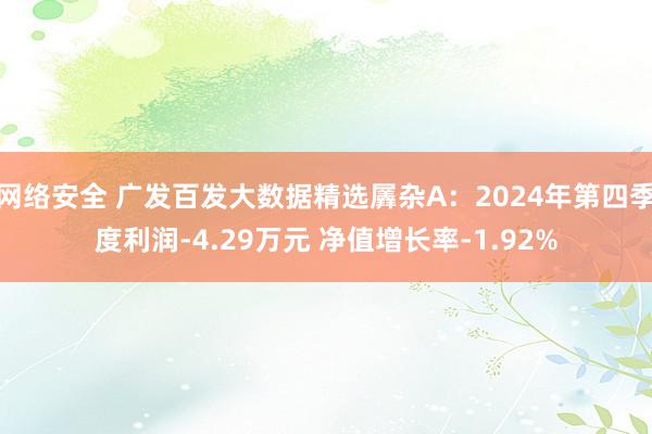 网络安全 广发百发大数据精选羼杂A：2024年第四季度利润-4.29万元 净值增长率-1.92%