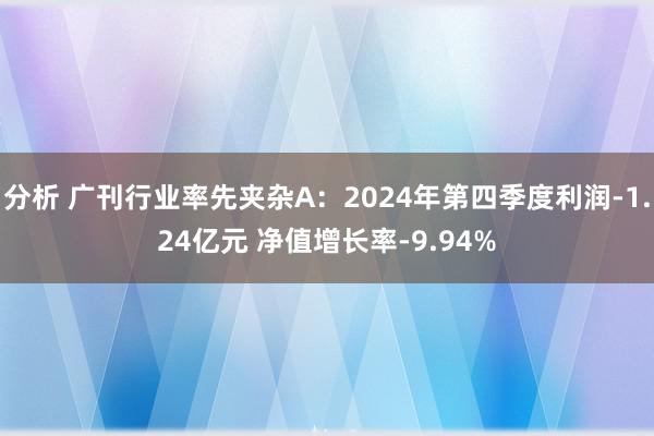 分析 广刊行业率先夹杂A：2024年第四季度利润-1.24亿元 净值增长率-9.94%