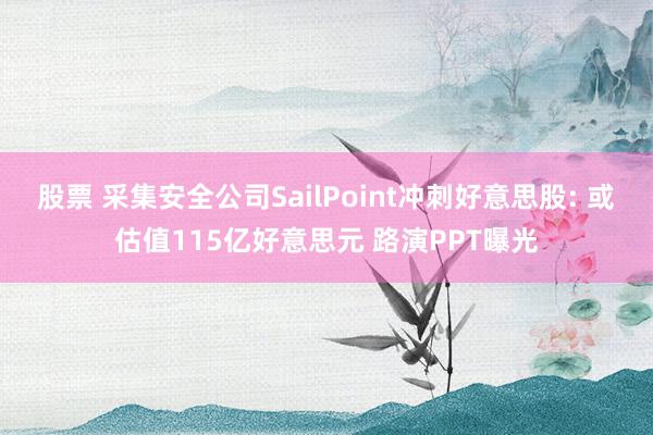 股票 采集安全公司SailPoint冲刺好意思股: 或估值115亿好意思元 路演PPT曝光