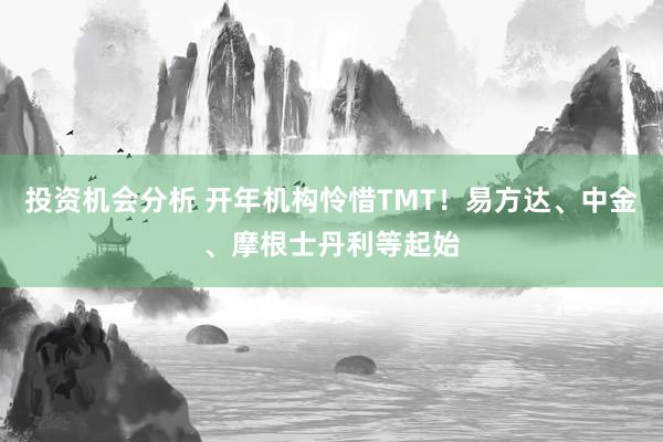 投资机会分析 开年机构怜惜TMT！易方达、中金、摩根士丹利等起始