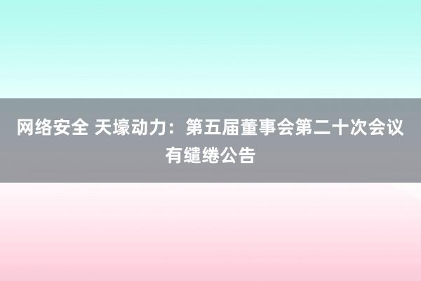 网络安全 天壕动力：第五届董事会第二十次会议有缱绻公告