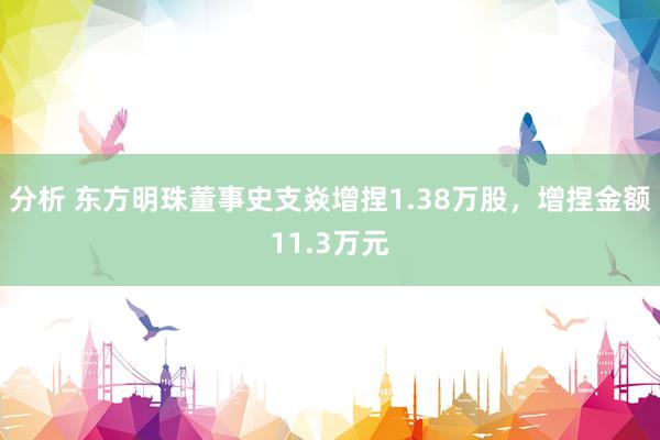 分析 东方明珠董事史支焱增捏1.38万股，增捏金额11.3万元