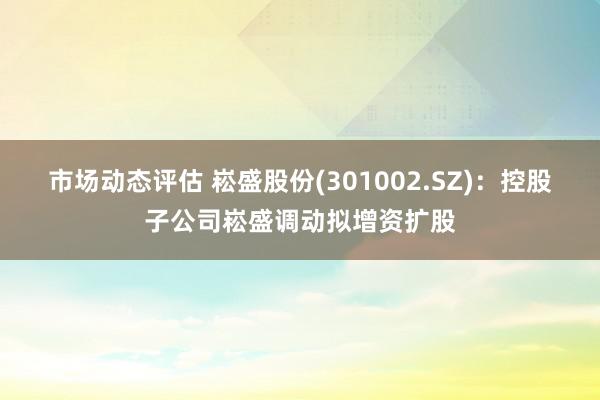 市场动态评估 崧盛股份(301002.SZ)：控股子公司崧盛调动拟增资扩股