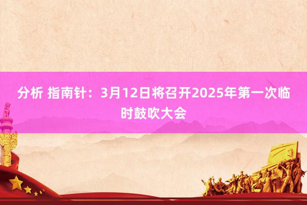 分析 指南针：3月12日将召开2025年第一次临时鼓吹大会