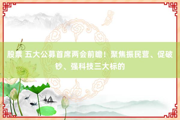 股票 五大公募首席两会前瞻！聚焦振民营、促破钞、强科技三大标的