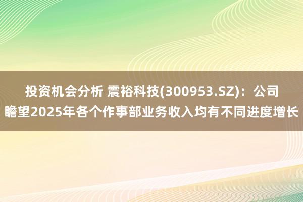 投资机会分析 震裕科技(300953.SZ)：公司瞻望2025年各个作事部业务收入均有不同进度增长