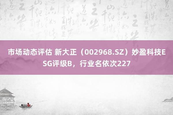 市场动态评估 新大正（002968.SZ）妙盈科技ESG评级B，行业名依次227