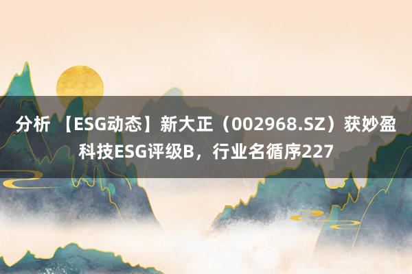 分析 【ESG动态】新大正（002968.SZ）获妙盈科技ESG评级B，行业名循序227