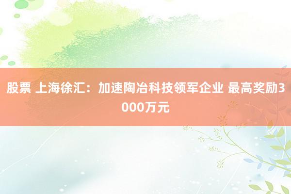 股票 上海徐汇：加速陶冶科技领军企业 最高奖励3000万元