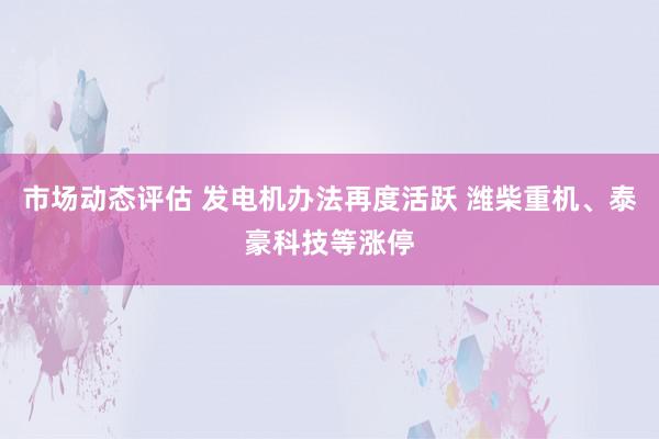 市场动态评估 发电机办法再度活跃 潍柴重机、泰豪科技等涨停