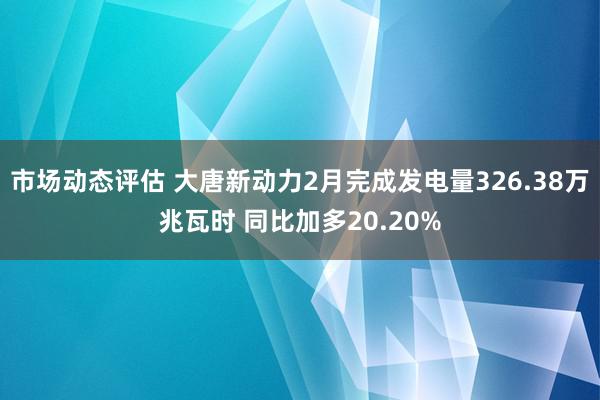 市场动态评估 大唐新动力2月完成发电量326.38万兆瓦时 同比加多20.20%